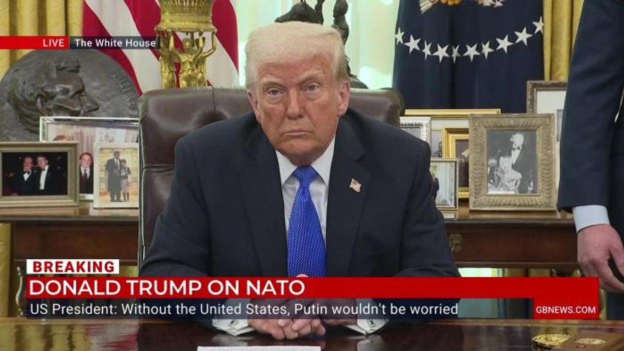 Elon Musk slams Donald Trump's tariff tsar as a 'moron' who is 'dumber than a sack of bricks'