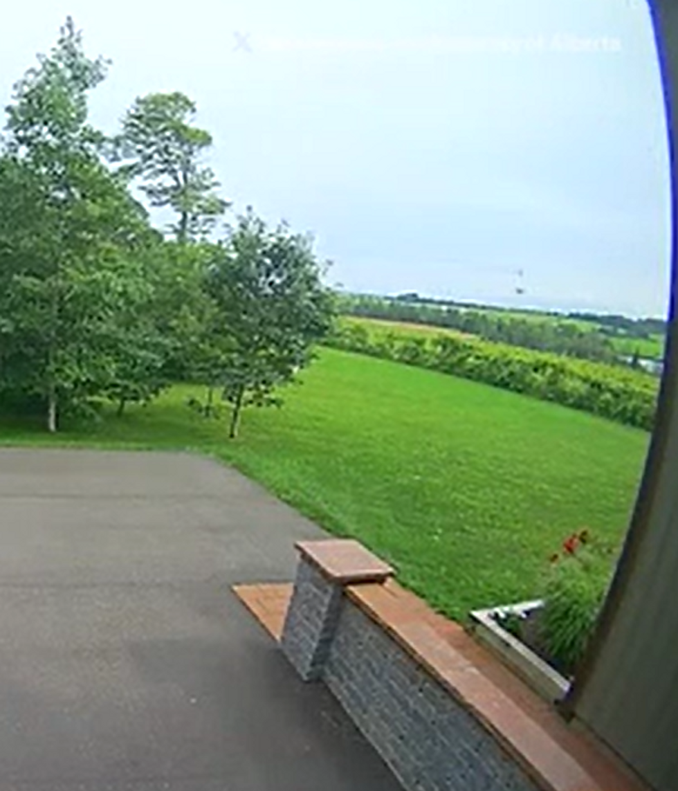 Doorbell footage