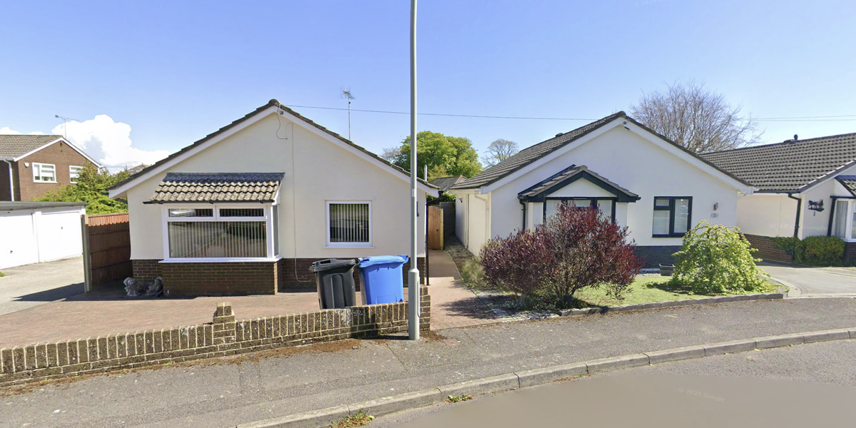 NextImg:Bitter neighbour row over wooden fence ends with pensioner being forced to SELL her home