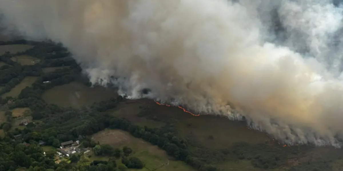 Major incident declared as huge blaze breaks out at Holt Heath near Wimborne with FIVE different emergency services battling inferno Major incident declared as huge blaze breaks out at Holt Heath near Wimborne with FIVE different emergency services battling inferno