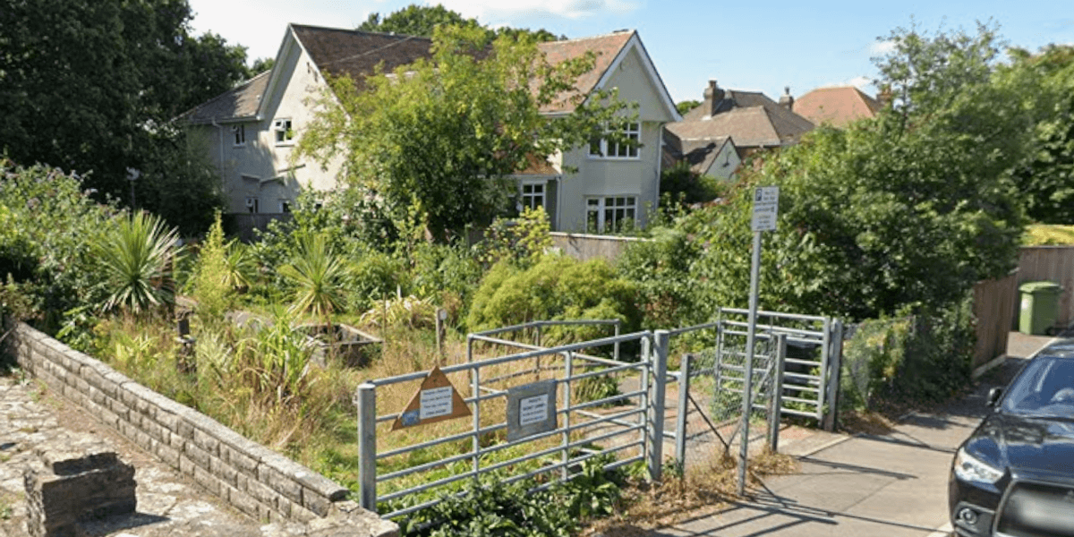 Gardener who transformed neglected public footpath evicted ‘after planting bamboo’ Gardener who transformed neglected public footpath evicted ‘after planting bamboo’