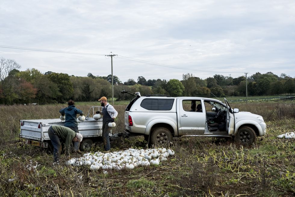 Double cab pick-up trucks