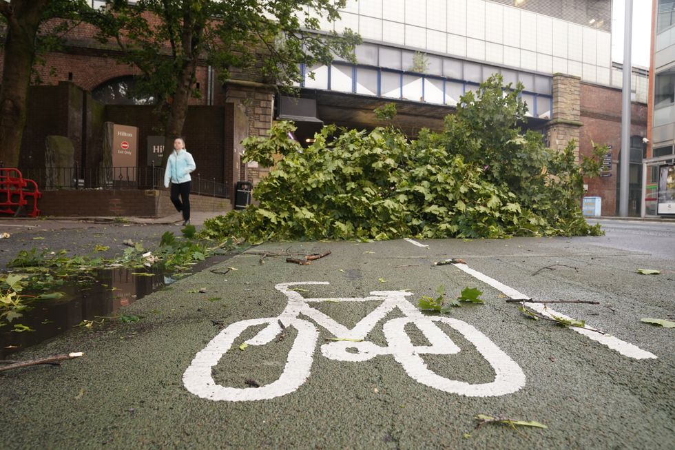 Downed tree in Leeds city centre