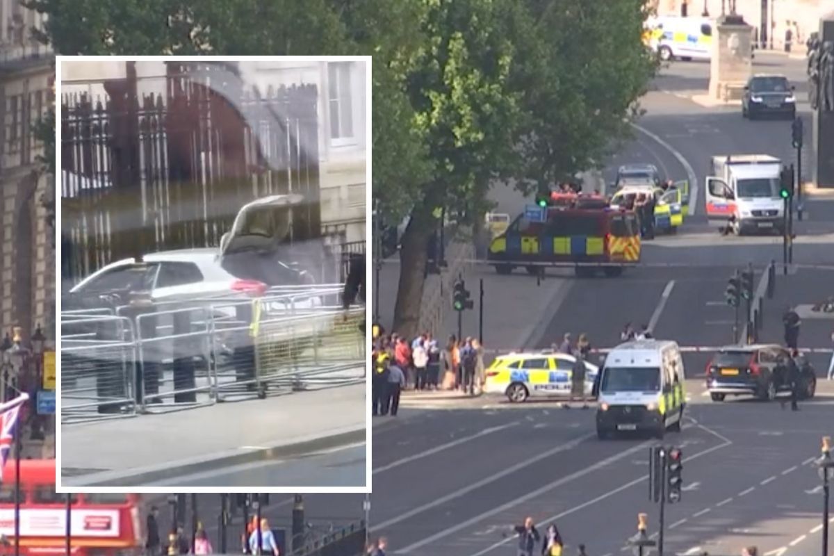 Downing Street car crash: Vehicle smashes into gate outside No10 - one arrested