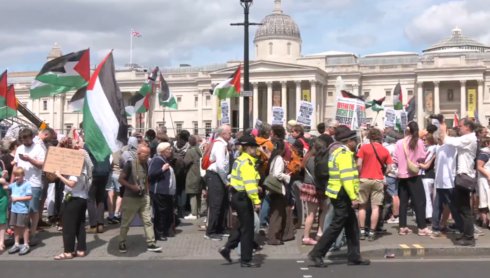 Dozens of protesters have descended onto London\u200b