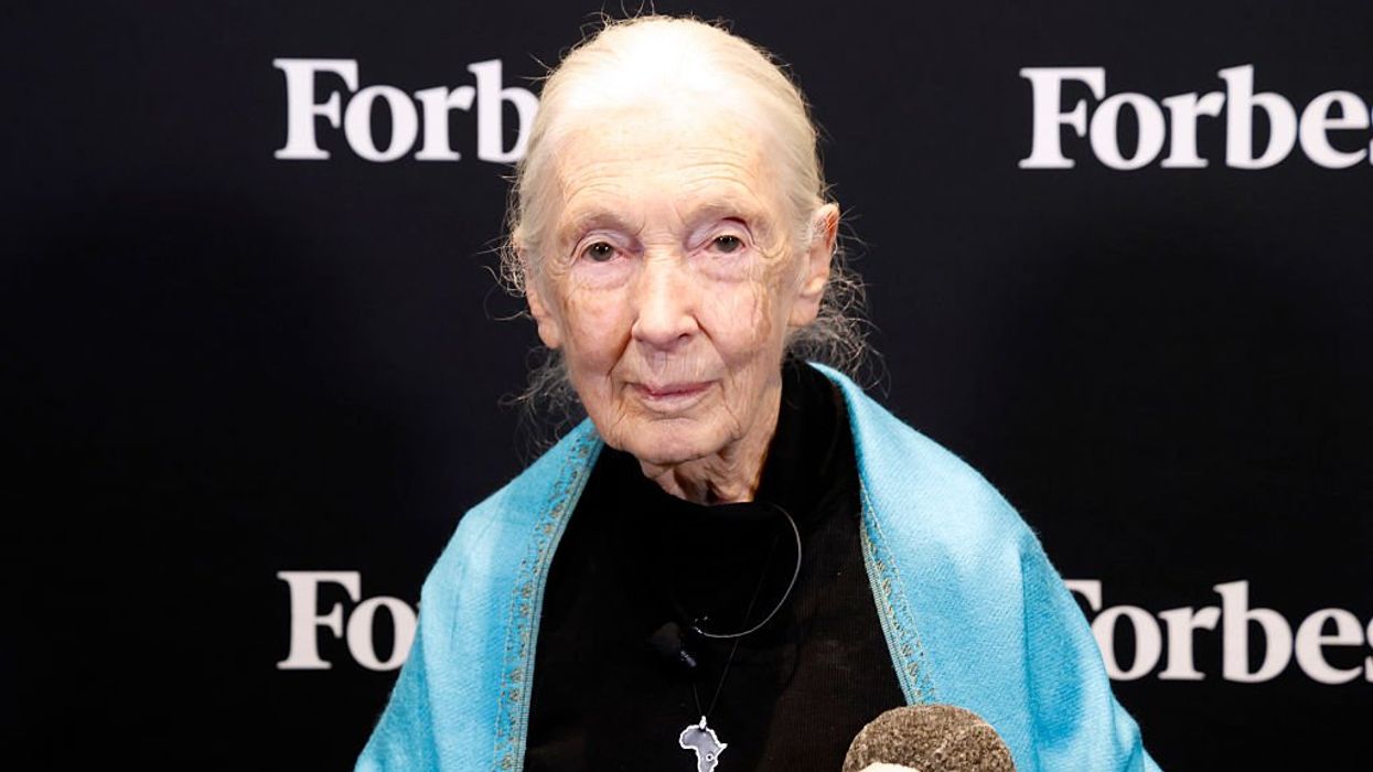  Dr. Jane Goodall, DBE