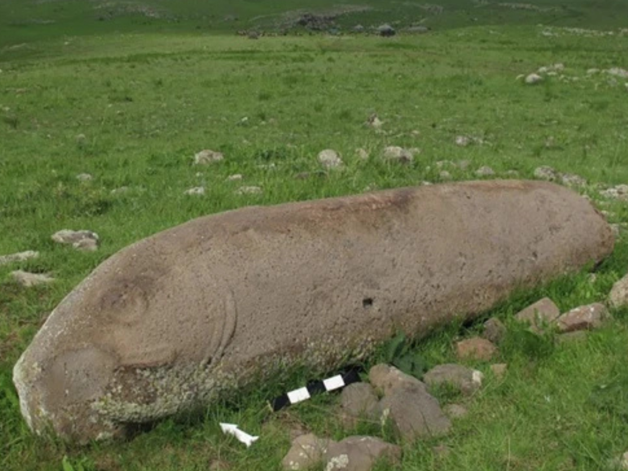 Dragon stone