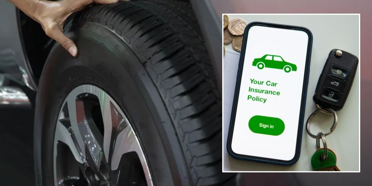 NextImg:Motorists who own certain car brands face motor insurance nightmare and 'more damage' - Are you at risk?