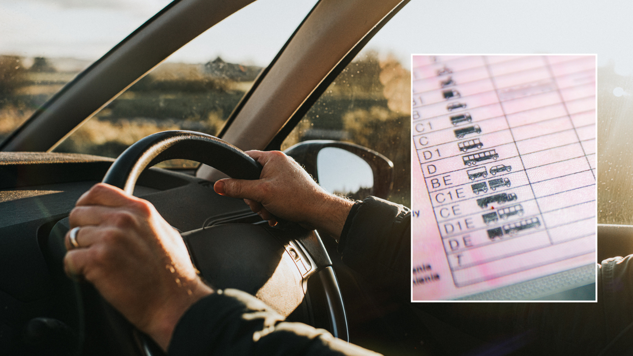 Driver in car and driving licence
