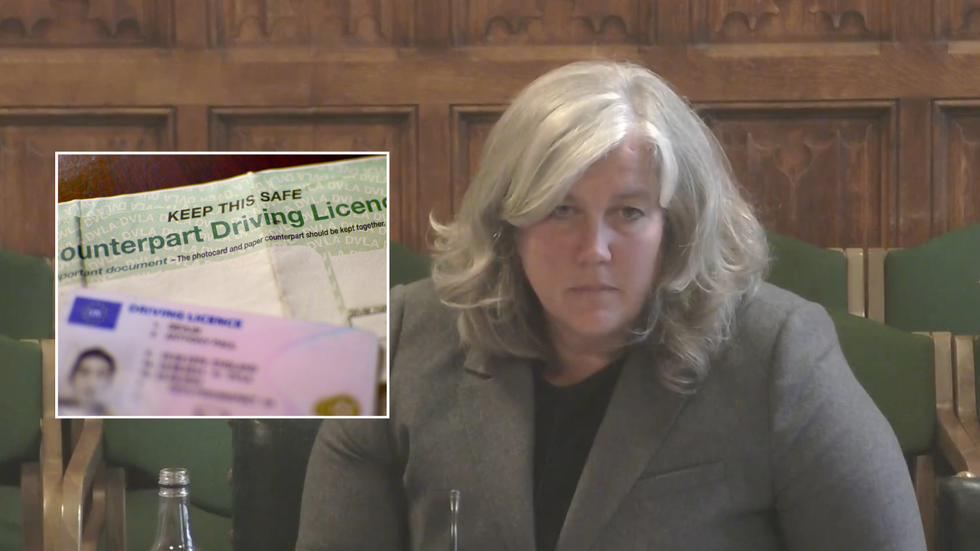 Driving licence and Transport Secretary Heidi Alexander