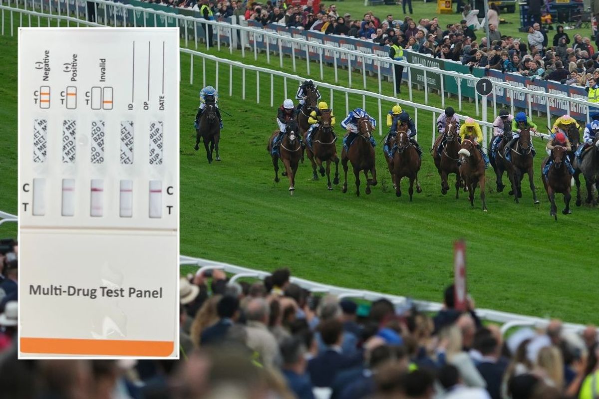 Drug test panel and Epsom Races