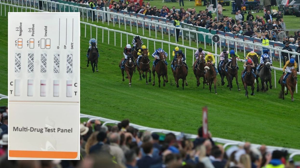 Drug test panel and Epsom Races
