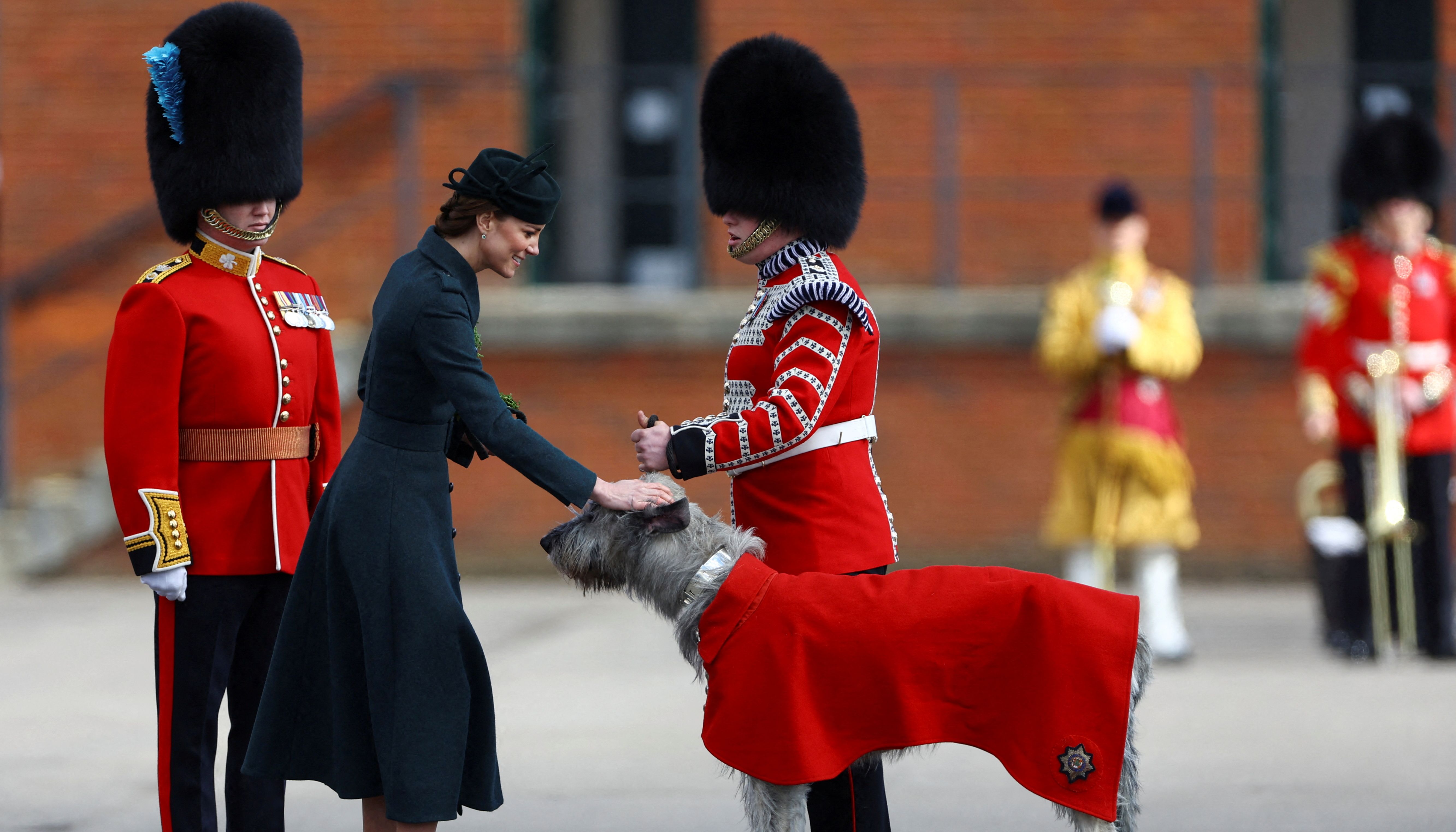 Duchess of Cambridge pets the Irish Guards mascot Turlough Mor.