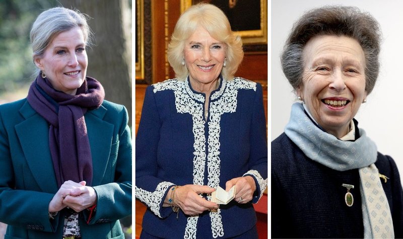 Princess Anne, Queen Camilla and Duchess of Edinburgh to step up during pivotal week