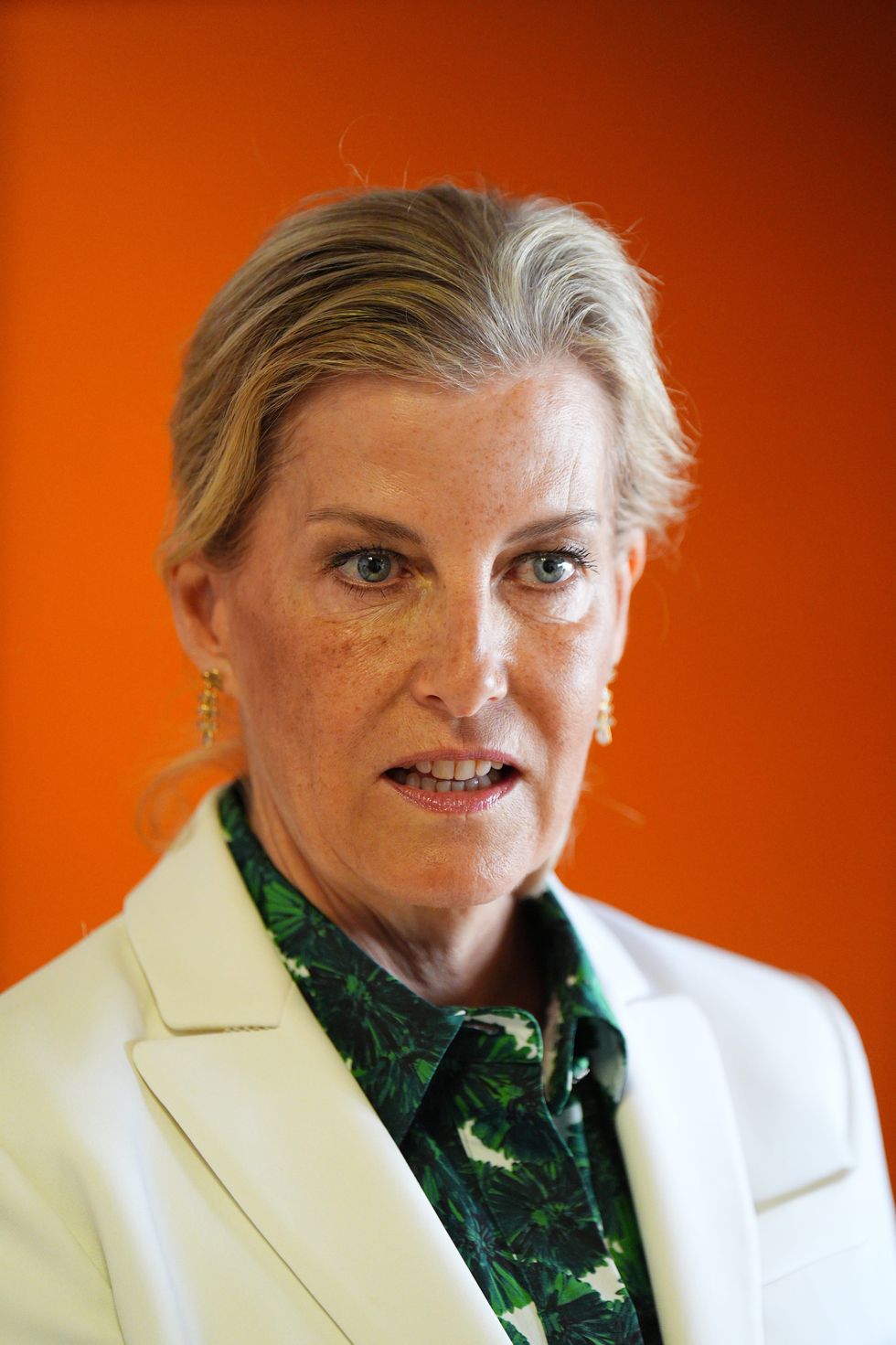 Duchess Sophie Portugal