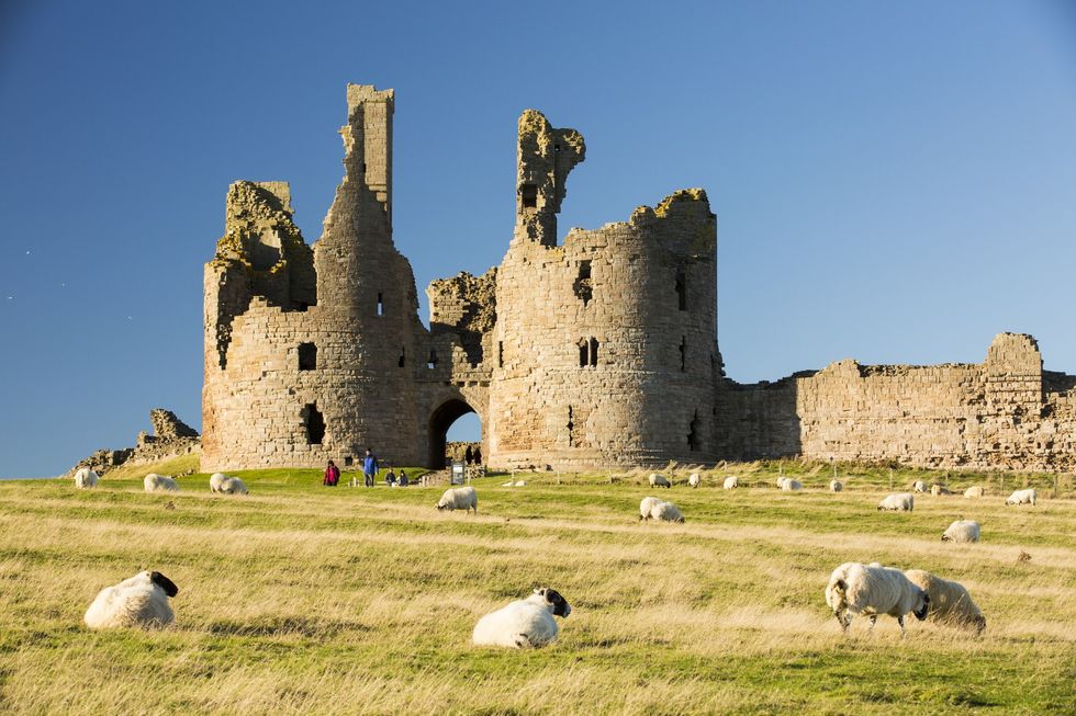 Dunstanburgh castle