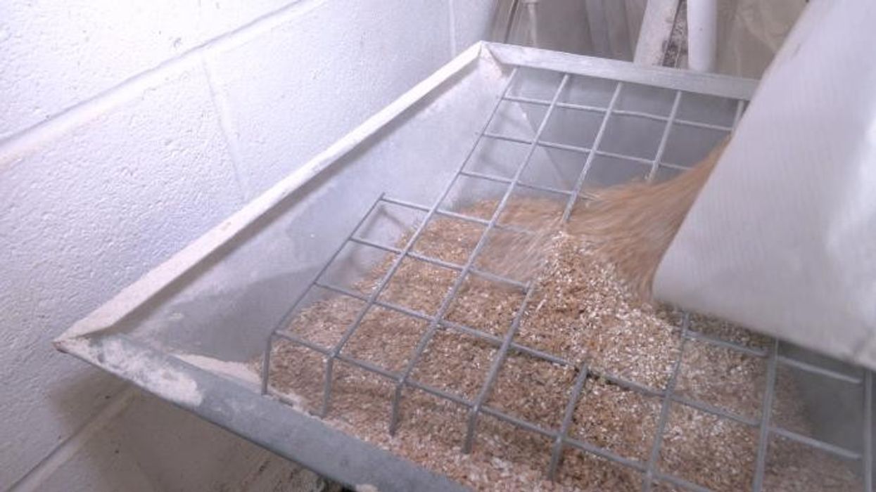 Taxes on wines and spirits rise as alcohol duty changes come into force