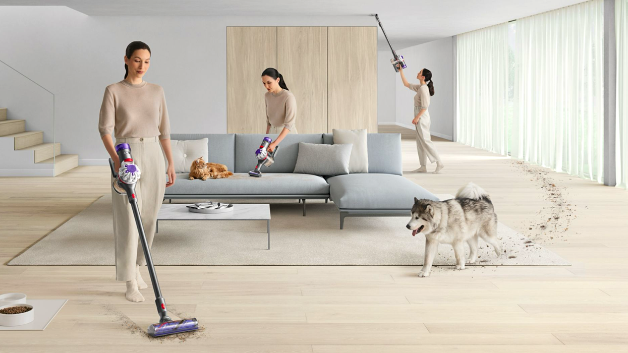 Dyson vacuum cleaner pictured in the living room in a purple shade cleaning after various pets