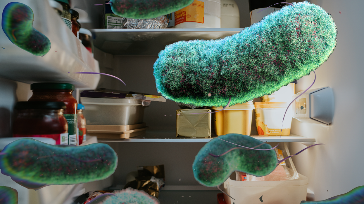 E. coli outbreak in fridge