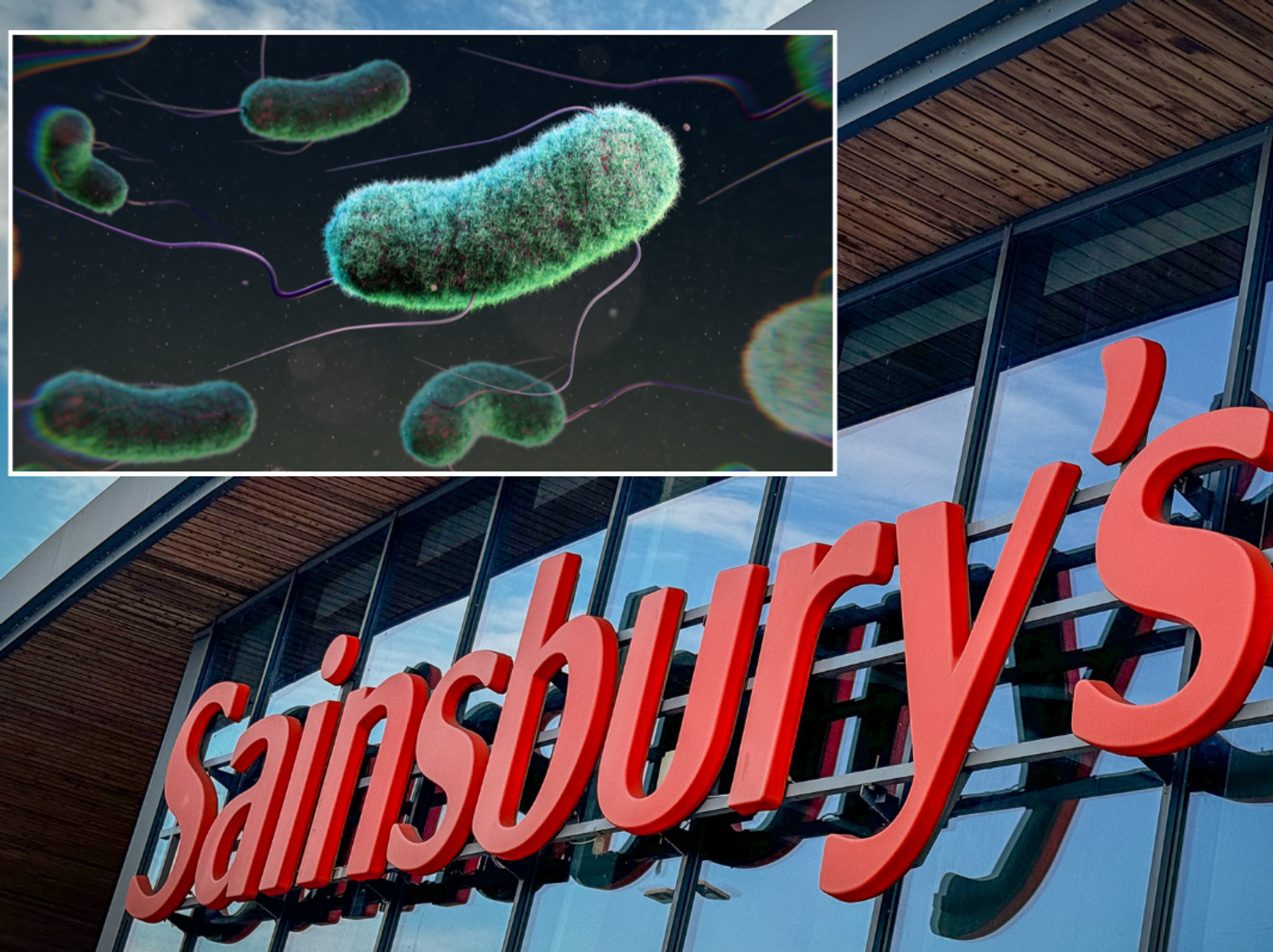 E.coli/Sainsbury's