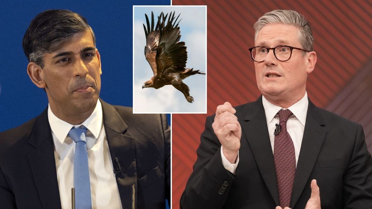 Eagle/Rishi Sunak/Keir Starmer