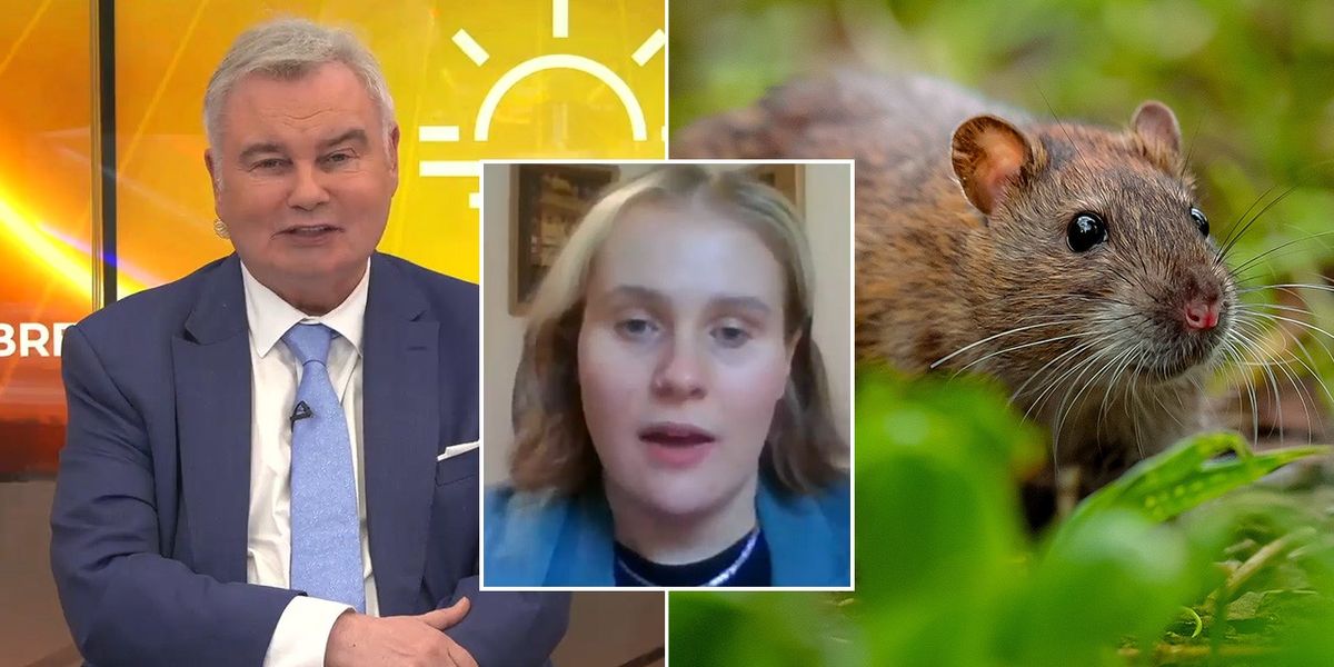 NextImg:Eamonn Holmes bemused as he tears into Peta's request to change the definition of a RAT: 'You think this is unfair?!'