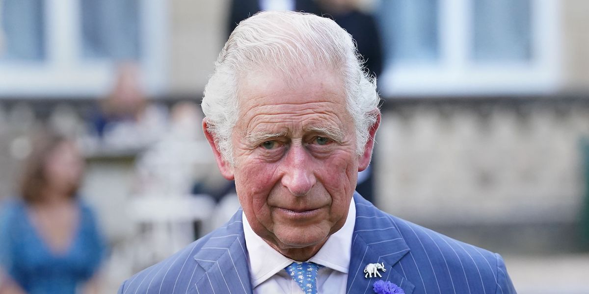 Fury erupts at monarch’s new £8m portrait Fury erupts at monarch’s new £8m portrait