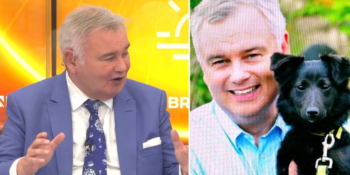 NextImg:Eamonn Holmes shares touching plan to honour 17-year-old dog after she dies: 'I have unconditional love for her!'