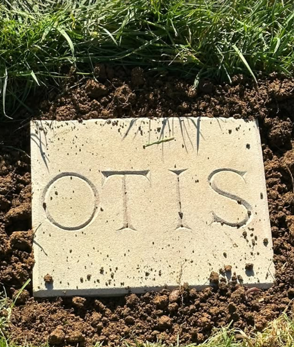 Earl Charles Spencer