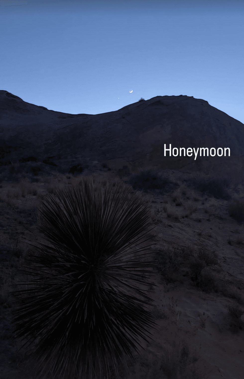 Earl Spencer honeymoon