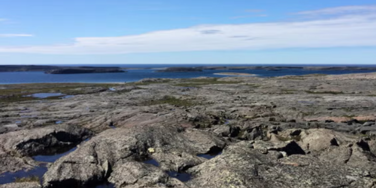 NextImg:Scientists think they've discovered the oldest rocks on Earth following dating breakthrough