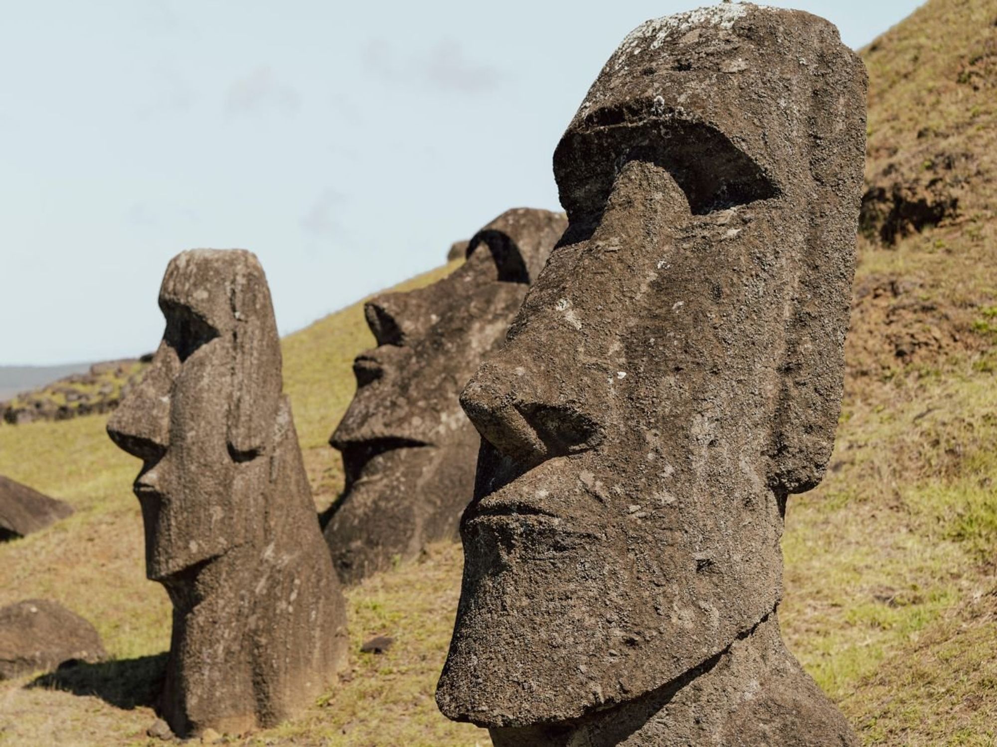 Easter Island moai statues