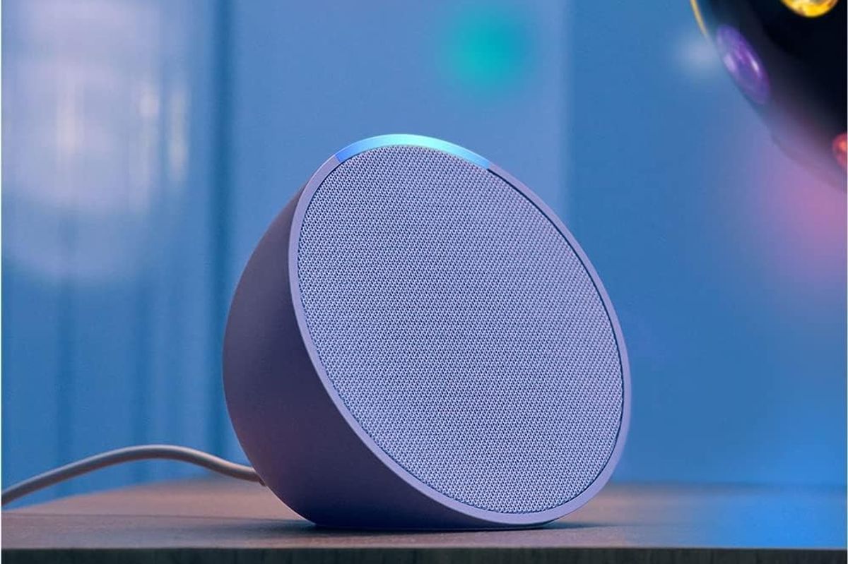 echo pop in lavender bloom colour