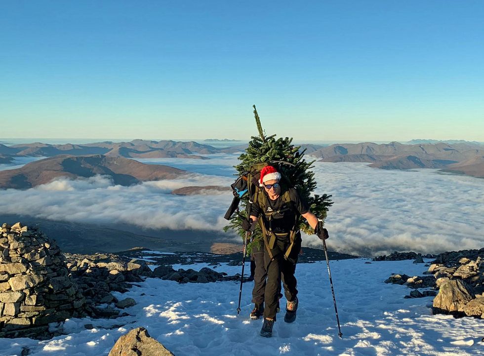 Ed Jackson, quadriplegic former rugby union star, has carried a Christmas tree to the summit of Ben Nevis for charity.