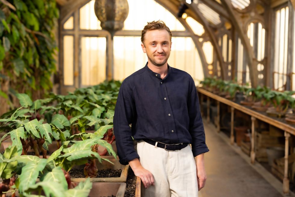EDITORIAL USE ONLY Tom Felton unveils the new 'Professor Sprout's Greenhouse' set at Warner Bros. Studio Tour London - The Making of Harry Potter, part of a new feature titled 'Mandrakes and Magical Creatures', opening to the public on Friday 1st July. Picture date: Tuesday June 21, 2022.