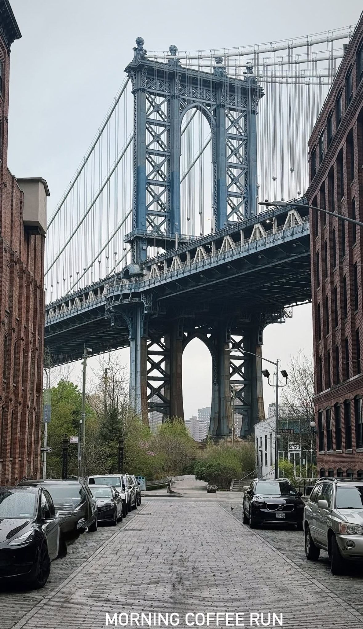 Edoardo Mapelli Mozzi