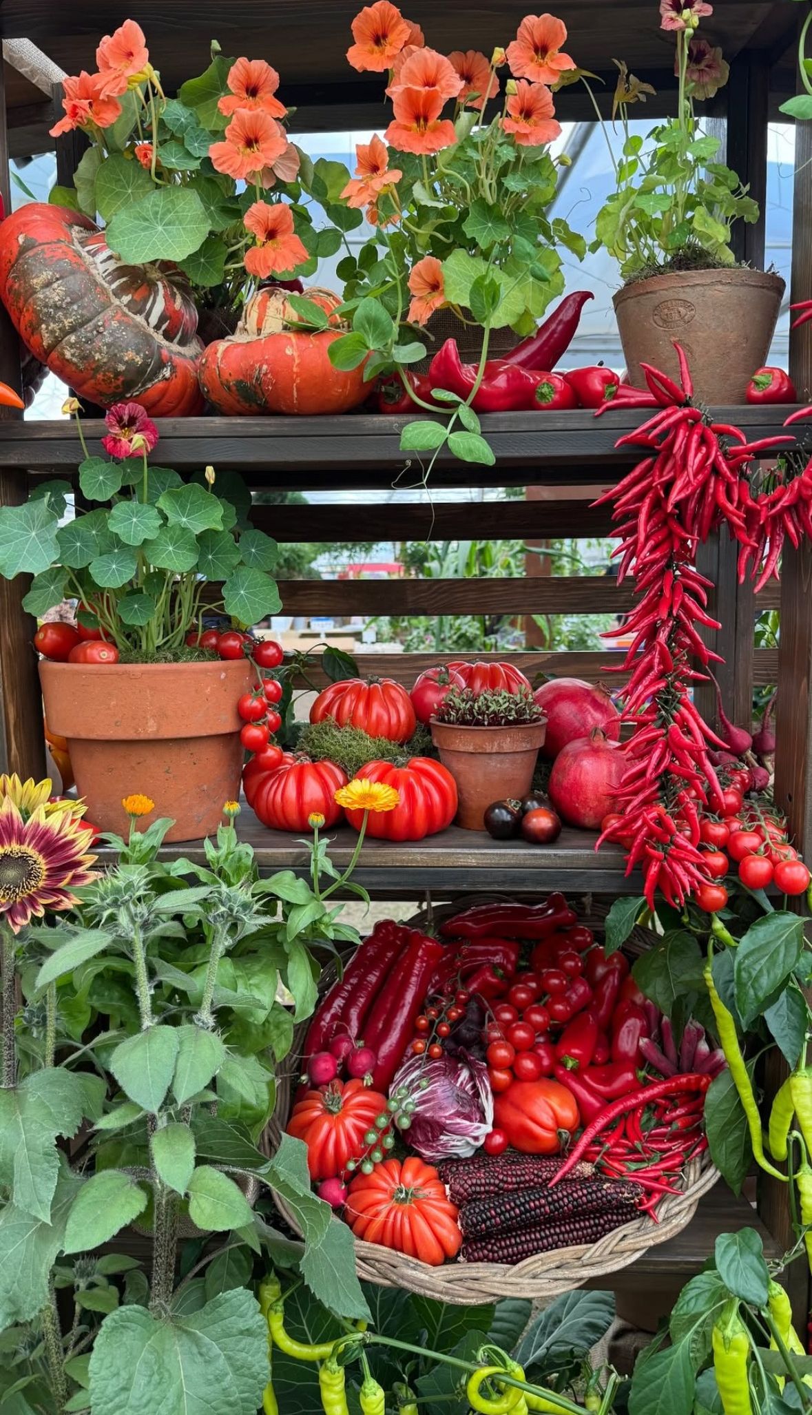 Edoardo Mapelli Mozzi