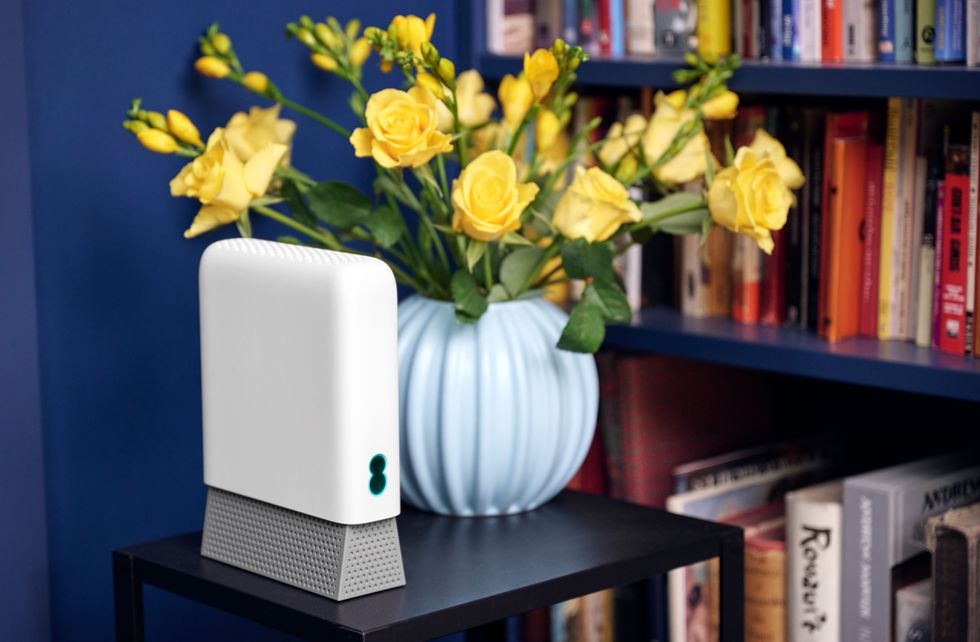 EE Wi-Fi Router pictured next to a pot of flowers and a bookshelf 