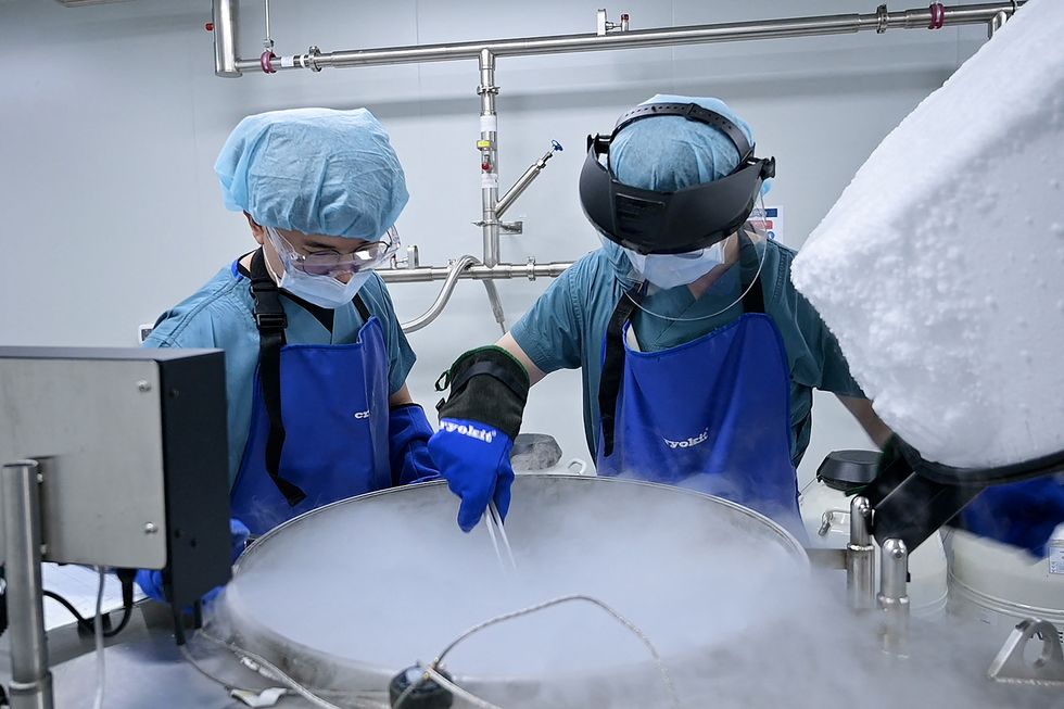Egg Freezing
