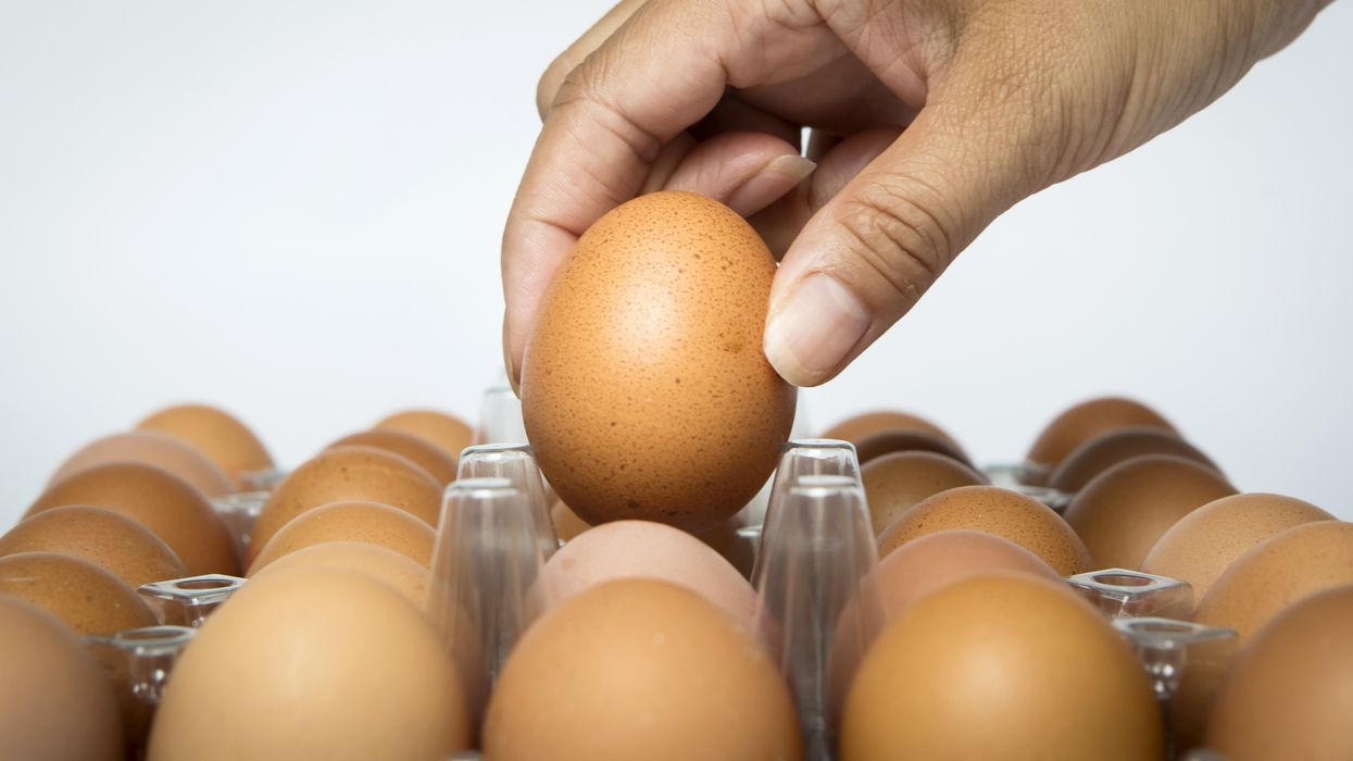 egg in hand