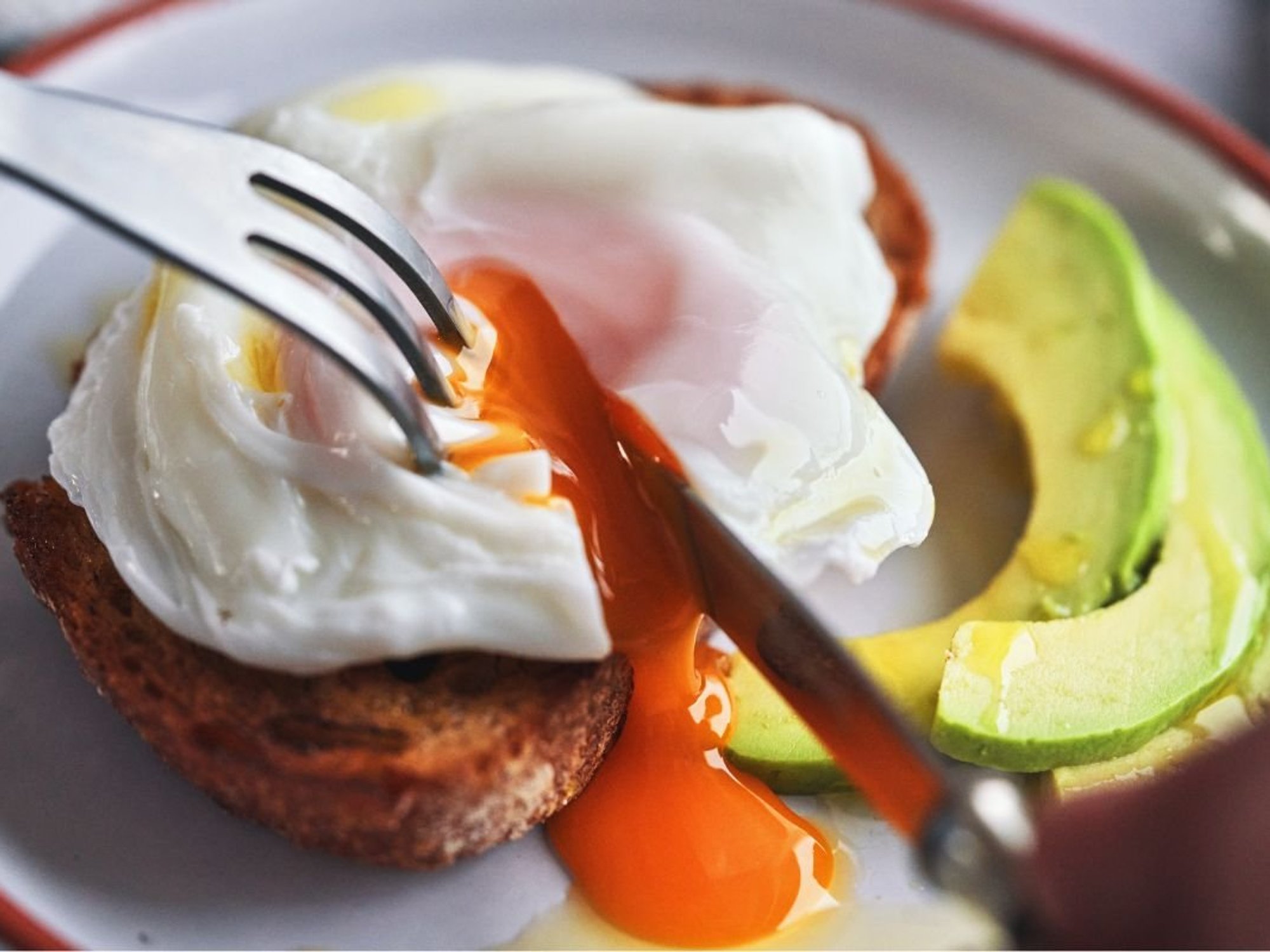 EGG ON TOAST
