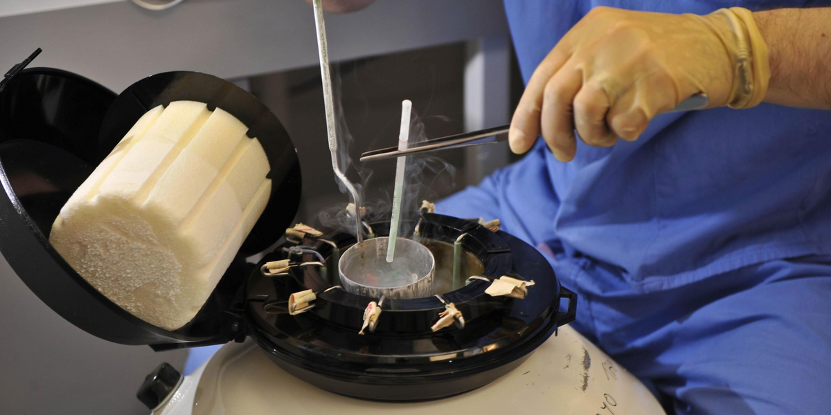 NextImg:Horror as eggs of more than 130 women damaged in error at NHS fertility clinic