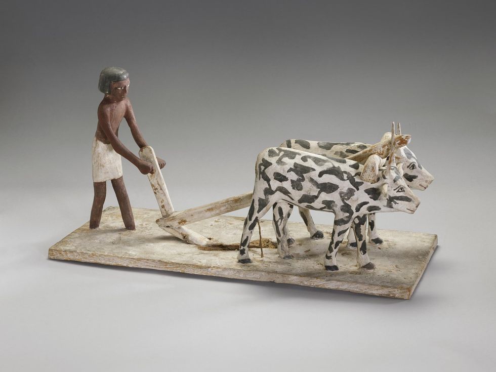 Egyptian sculpture of oxen drawing a plough