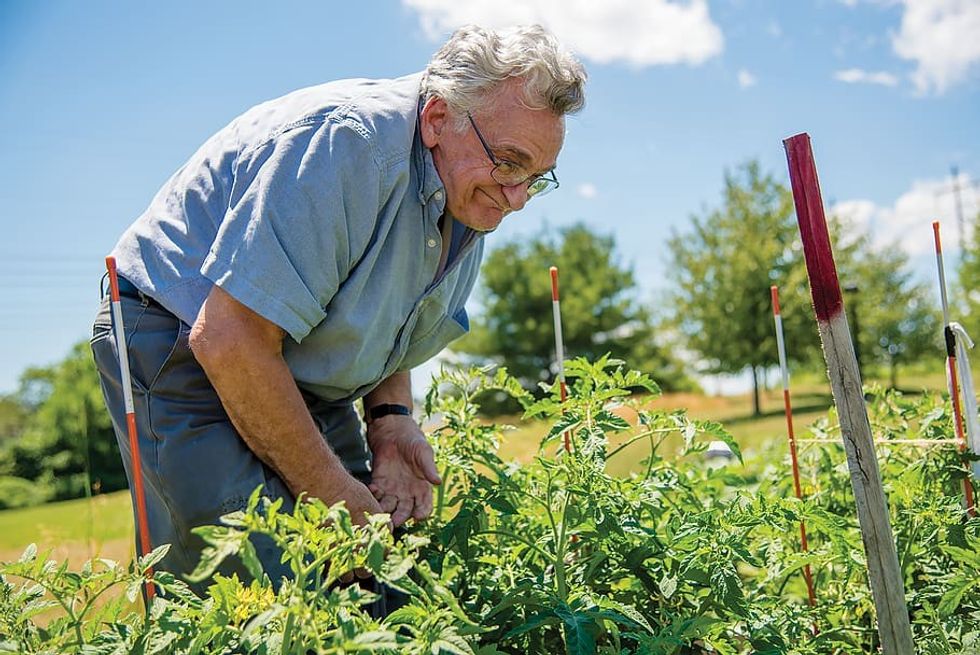 Elderly man gardening