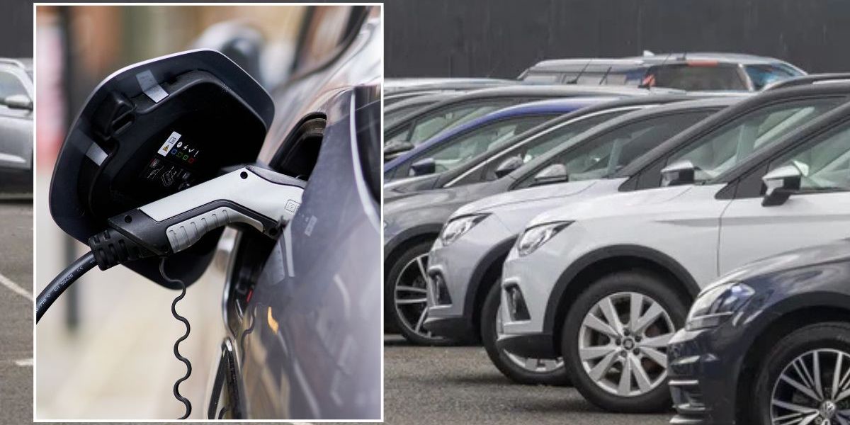 NextImg:Electric cars will become 'most popular powertrain in next five years' as used vehicle sales spike