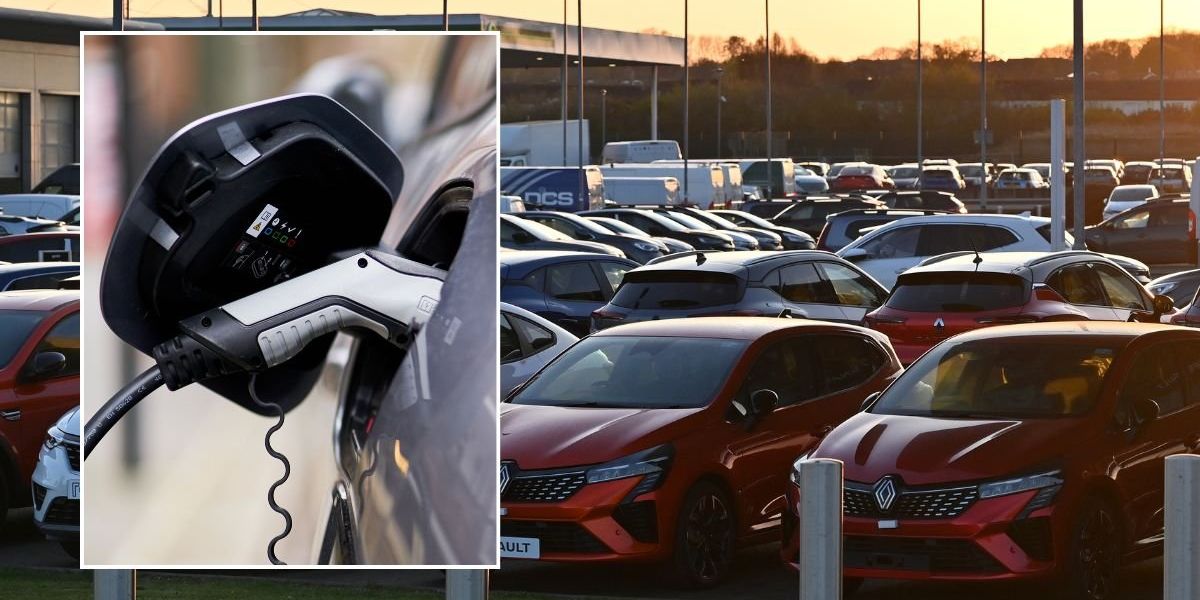 Electric car sales overtake petrol vehicles in major milestone as BYD sets sights on Tesla Electric car sales overtake petrol vehicles in major milestone as BYD sets sights on Tesla