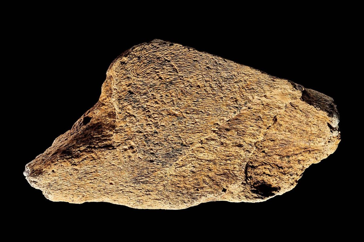 Elephant bone hammer