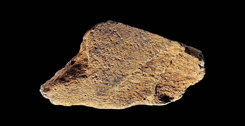 Elephant bone hammer