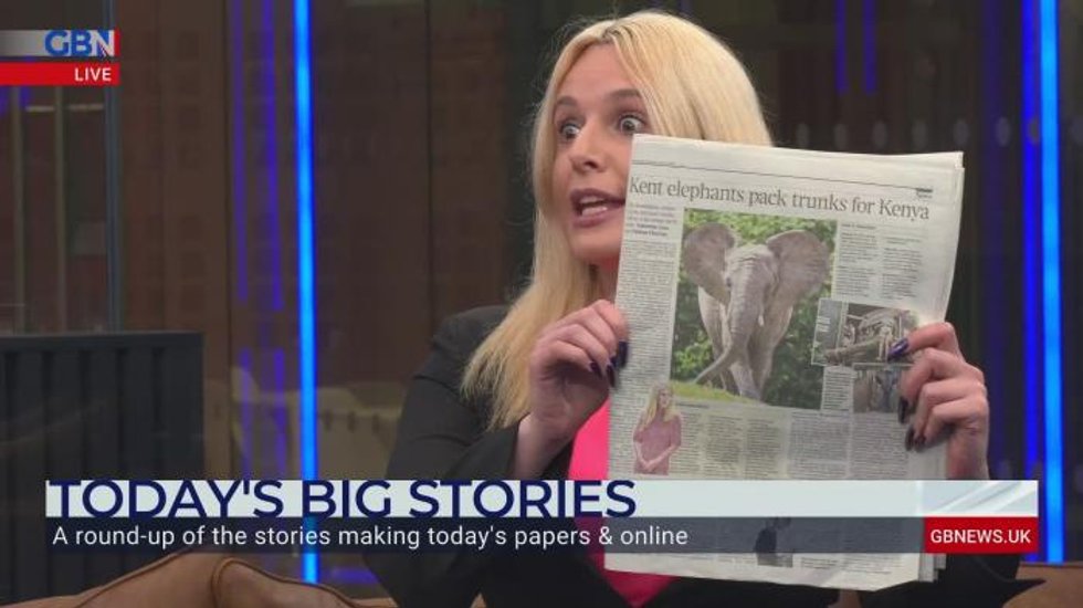 Herd of elephants to be re-wilded in 'world first'