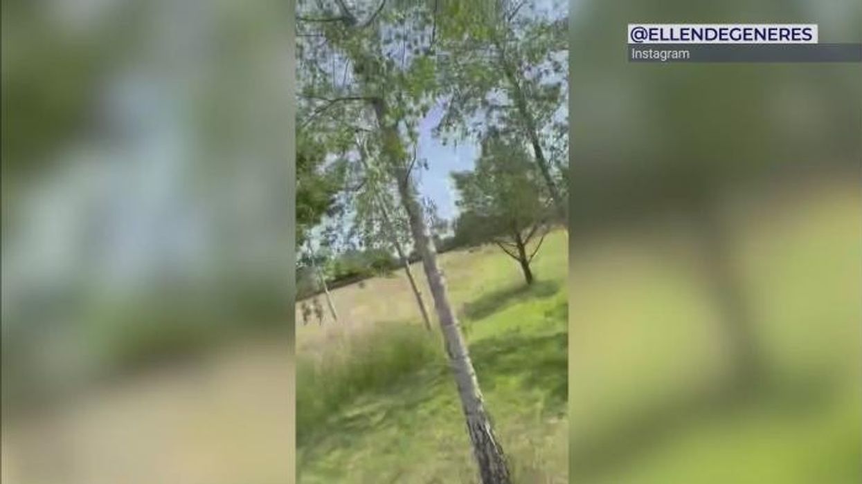 Ellen DeGeneres blames Donald Trump for decision to quit USA as she makes stance clear on UK future